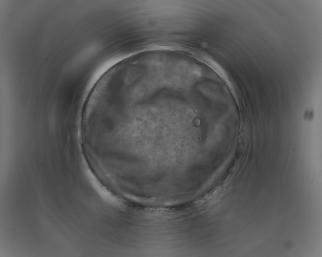 X0000092000811200709271507