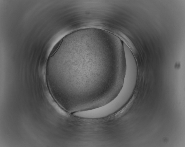 X0000092000812200709271507