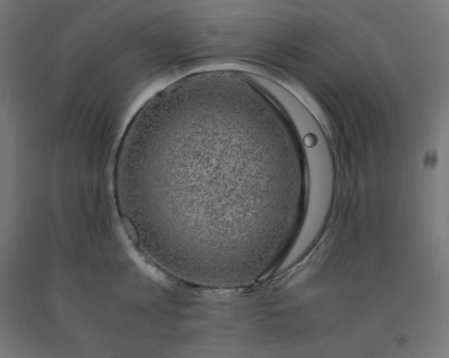 X0000092000813200709271507