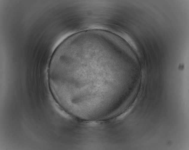 X0000092000814200709271507