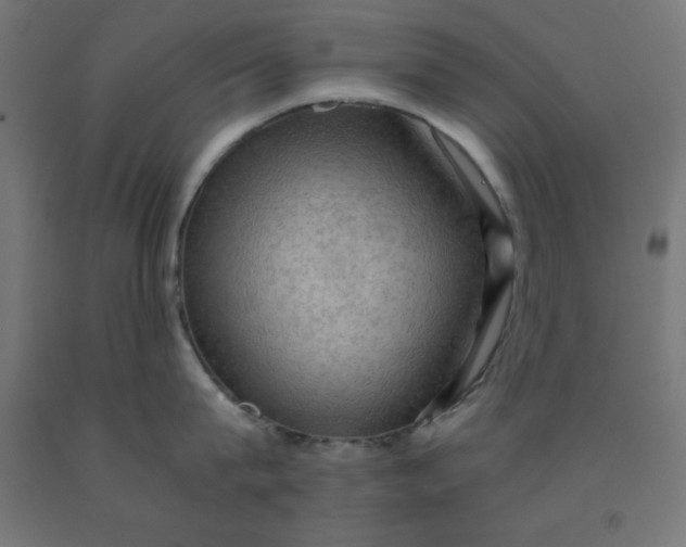 X0000092000815200709271507