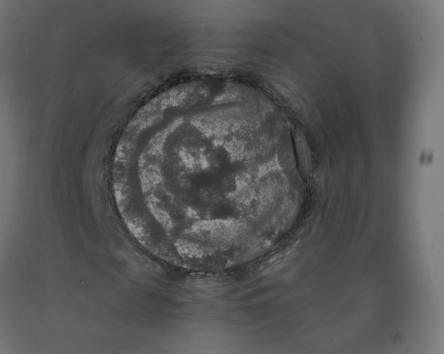 X0000092000817200709271506