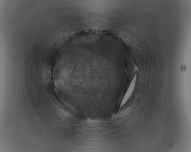 X0000092000818200709271506