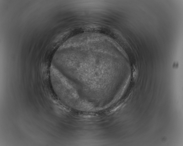 X0000092000819200709271506