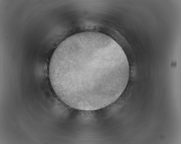 X0000092000820200709271506