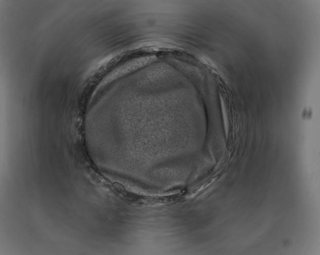 X0000092000822200709271506