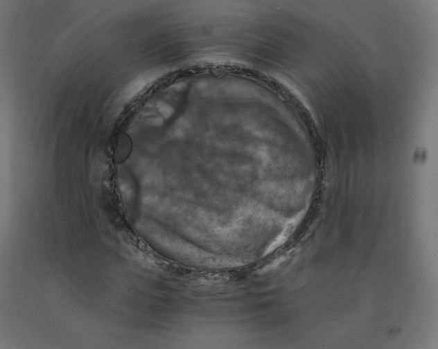 X0000092000823200709271506