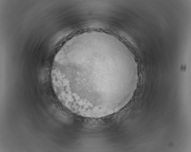 X0000092000824200709271506