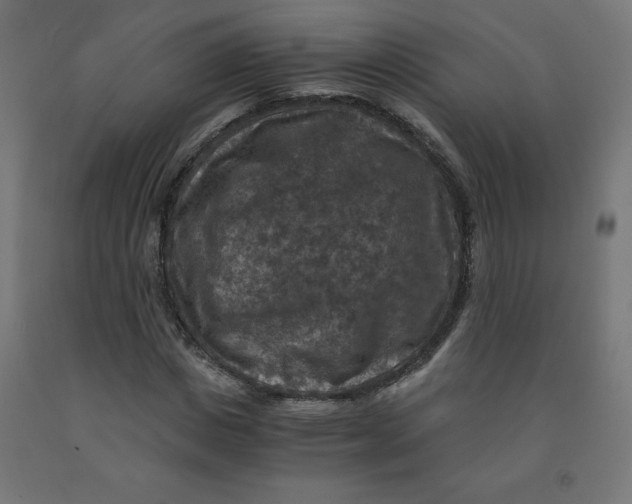 X0000092000825200709271506