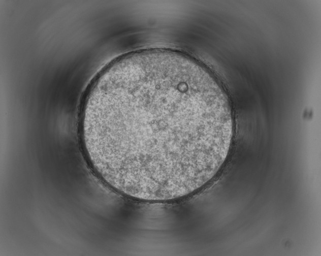 X0000092000828200709271506