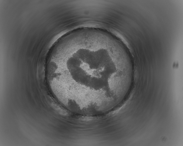 X0000092000829200709271506