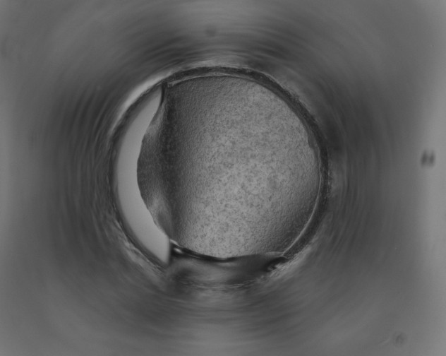 X0000092000830200709271506