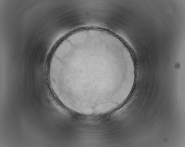 X0000092000832200709271507