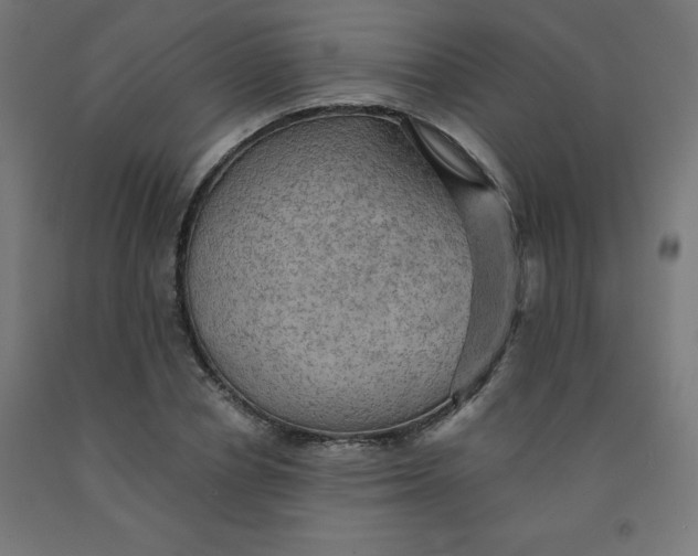 X0000092000834200709271507