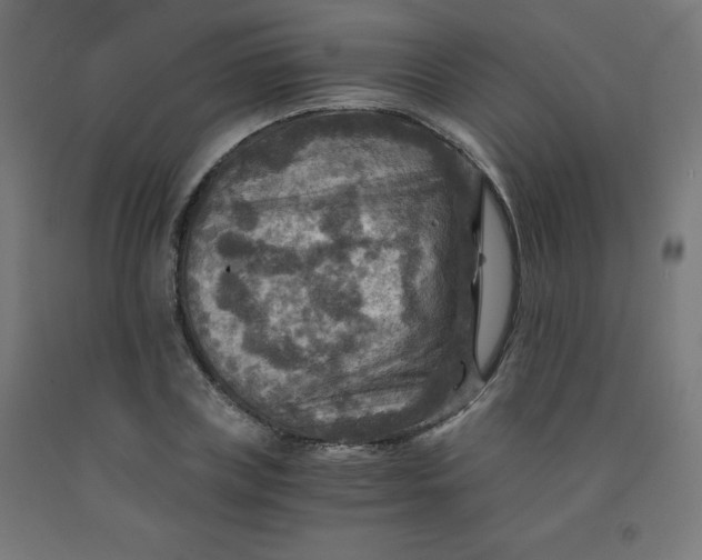 X0000092000835200709271507