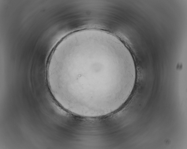 X0000092000836200709271507