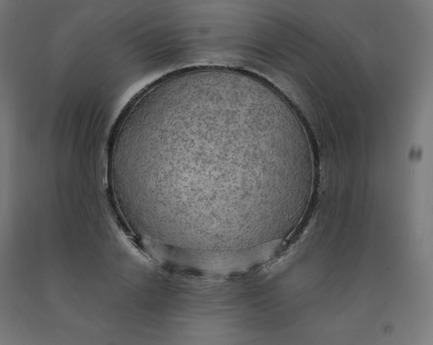 X0000092000838200709271507