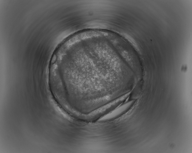 X0000092000840200709271507