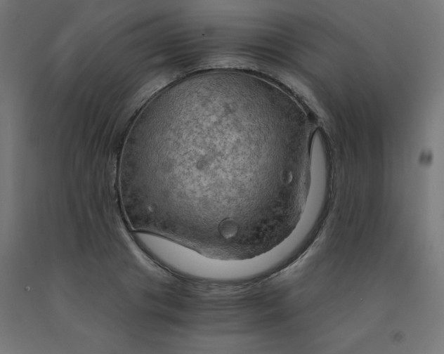 X0000092000841200709271507