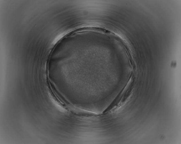 X0000092000842200709271507