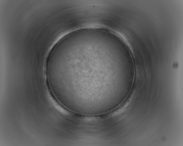 X0000092000843200709271507