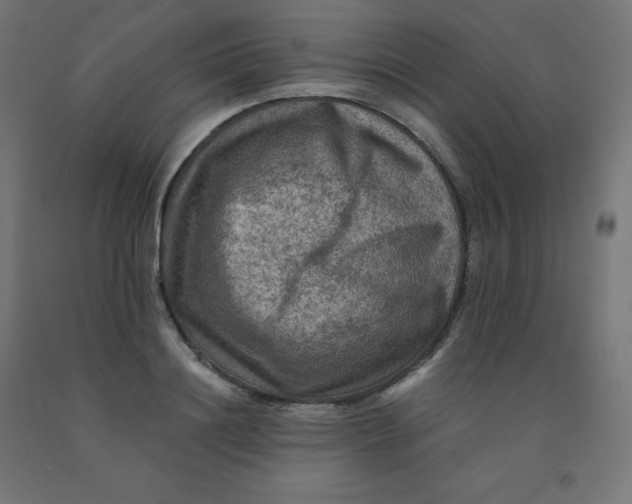 X0000092000844200709271507