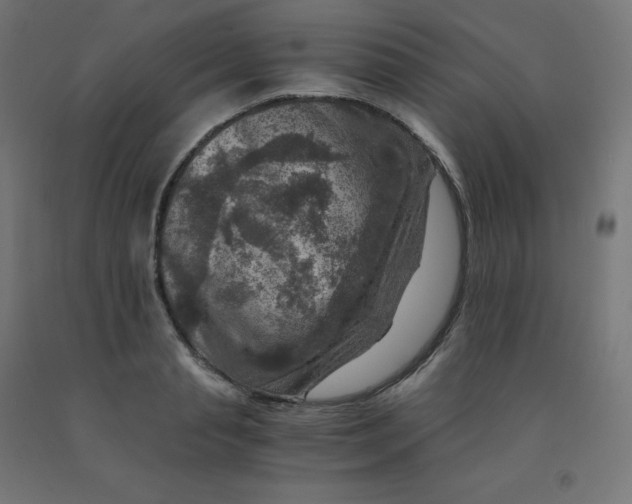 X0000092000845200709271507