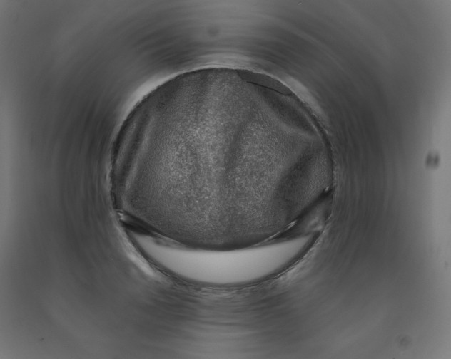 X0000092000846200709271507