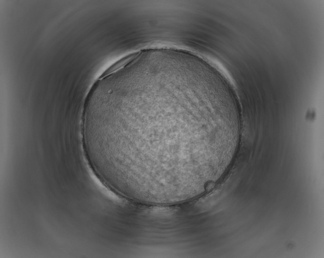 X0000092000847200709271507