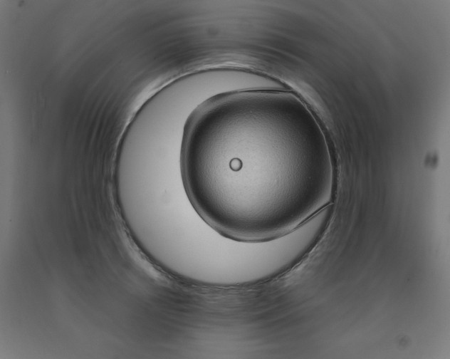 X0000092000850200709271507