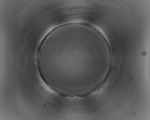 X0000092000851200709271507