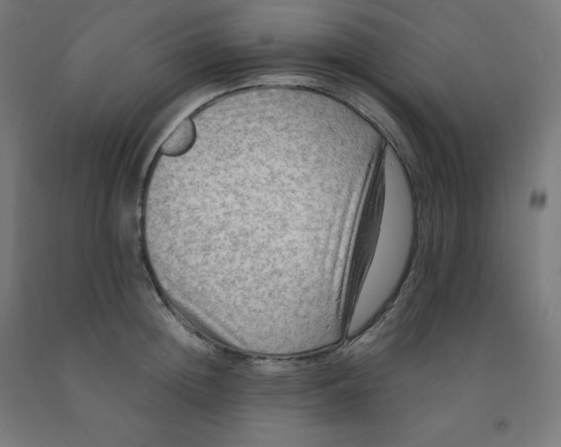 X0000092000852200709271507