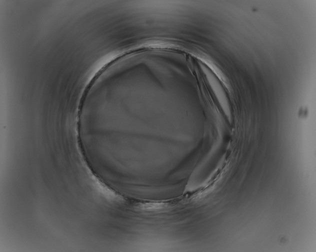 X0000092000853200709271507