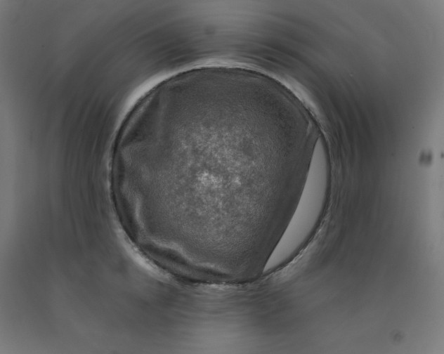 X0000092000854200709271507