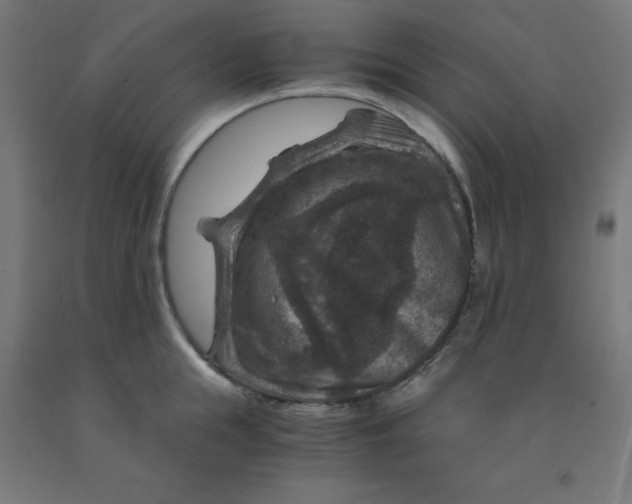 X0000092000855200709271507