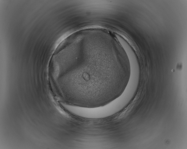 X0000092000858200709271507