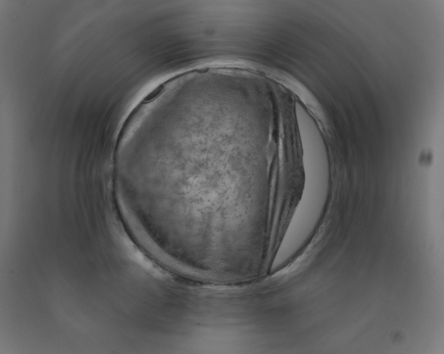 X0000092000860200709271507