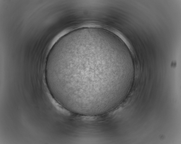 X0000092000861200709271507