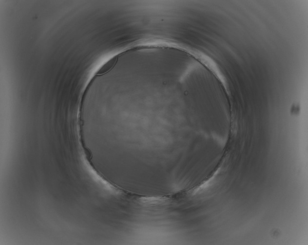 X0000092000863200709271507