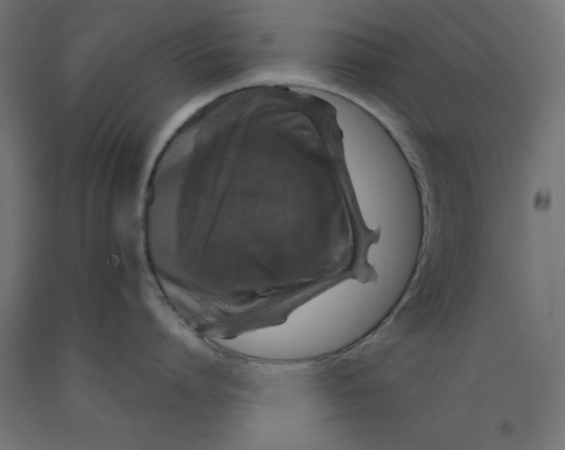 X0000092000864200709271507