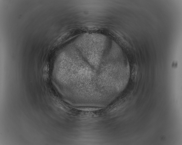 X0000092000866200709271506