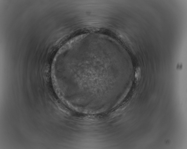 X0000092000867200709271506