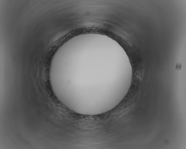 X0000092000869200709271506