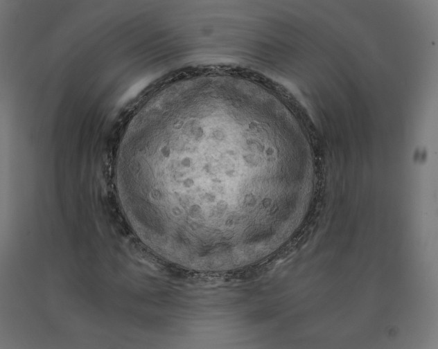 X0000092000871200709271506