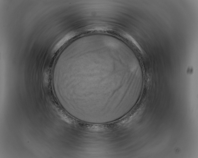 X0000092000874200709271506