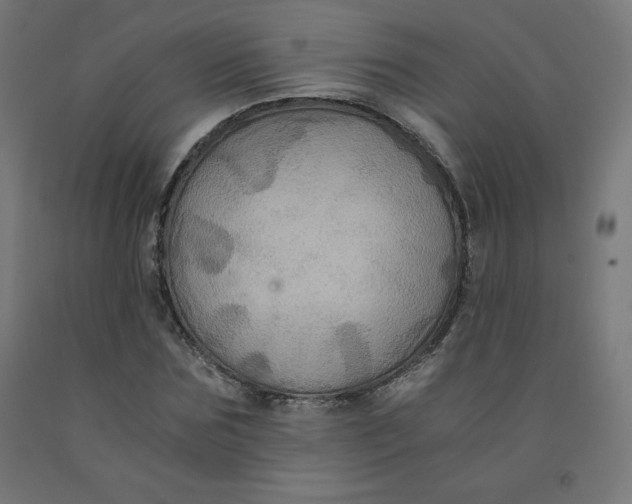 X0000092000875200709271506