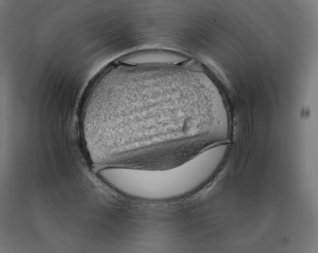 X0000092000876200709271506