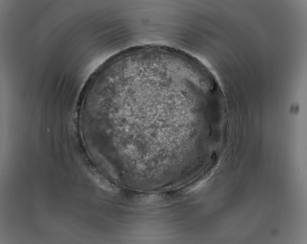 X0000092000879200709271506