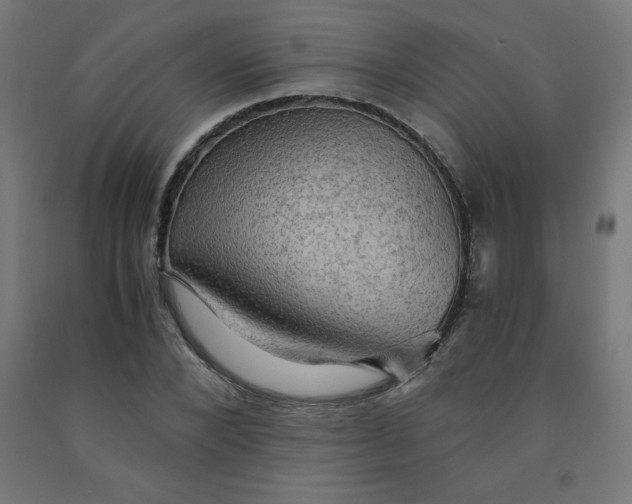 X0000092000880200709271506