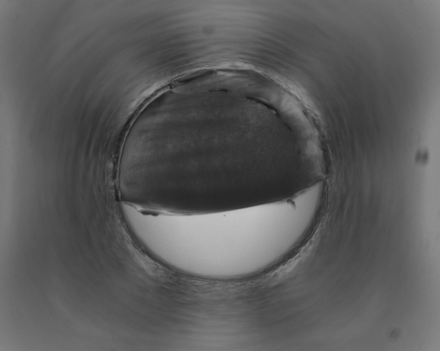 X0000092000881200709271506